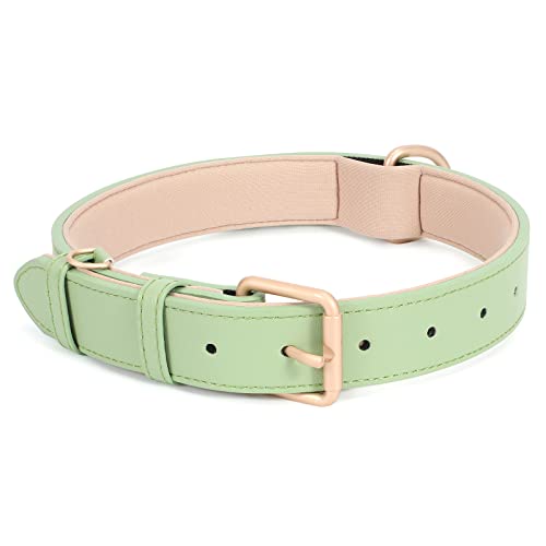 JASGOOD Leather Dog Collar for Small Medium Large Dog Adjustable Soft Leather Padded Puppy Collar with Alloy Buckle Heavy Duty Waterproof Dog Pet Collar,Green