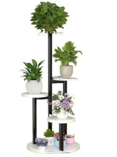 EVREFIN p|t[X^h pAX^h AbN X^CbVȖ~̓X^h t[X^h itK[fX^h gݗĊȒP ցArO[AoRj[ɍœK itAVFt (5iyubNIzEH[z