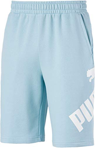 PUMA Men's Big Logo Shorts 10