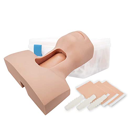 Ghde&Md Tracheostomy And Intubation Training Model, Cricothyrotomy, Tracheotomy Care Training Manikin #TOP21