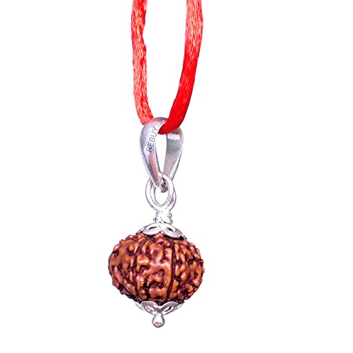 Image of REBUY 10 Mukhi Rudraksha Pendant Indonesian /Java Rudraksha Lab Certified Original Rudraksha Pendant for Men & Women, Origin Indonesian, Color Brown