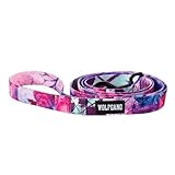 Wolfgang Man & Beast Premium USA Webbing Dog Leash, Daydream Print, Large (1 Inch x 6 Feet)