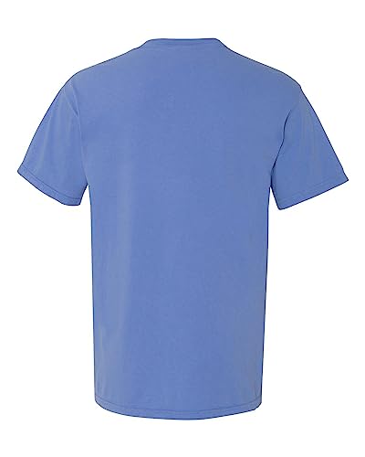 Image of Comfort Colors Adult Short Sleeve Tee, Style G1717
