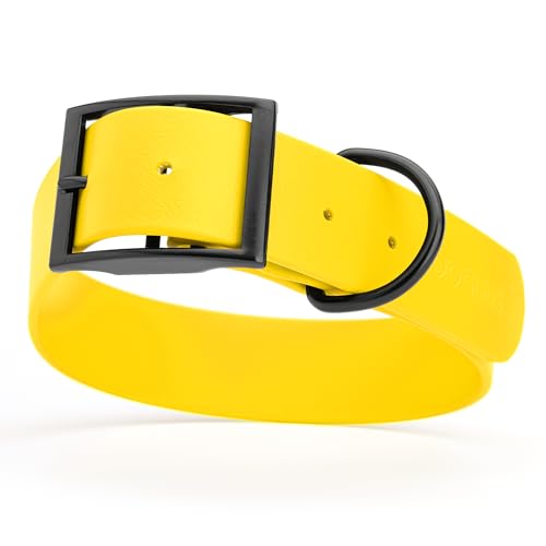 Image of Dogline Biothane Waterproof Dog Collar Strong Coated Nylon Webbing with Black Hardware Odor- Proof for Easy Care Easy to Clean High Performance Fits Small Medium or Large Dogs, Lemon Yellow