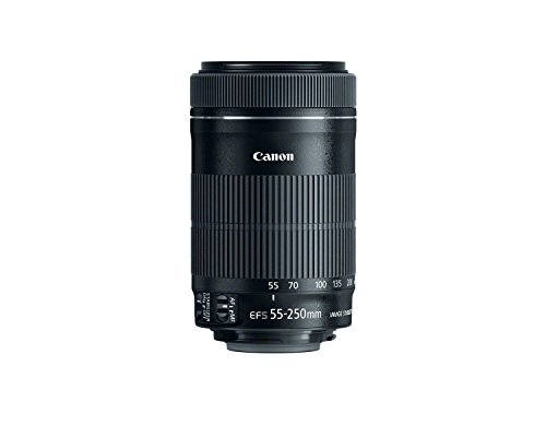 Canon Rebel SL1 18-55STM + EF-S 55-250mm f/4-5.6 lente miniatura 3