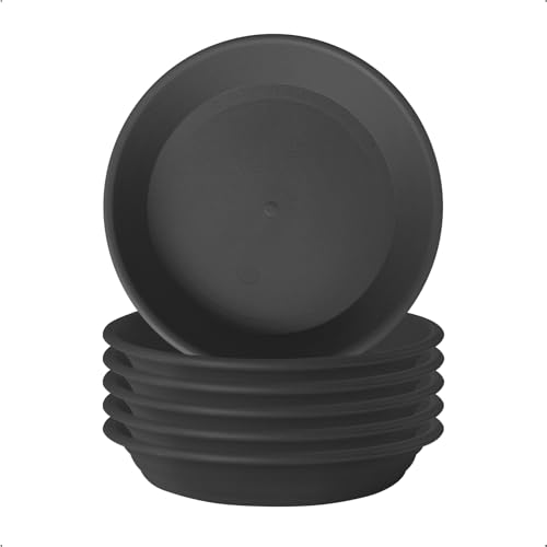 GREGICH Plant Saucer 6.6 inch (5.2" at Base) Pack of