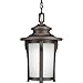 Progress Lighting P6503-97 Transitional One Light Hanging Lantern from Pedigree Collection in Bronze/Dark Finish, Autumn Haze