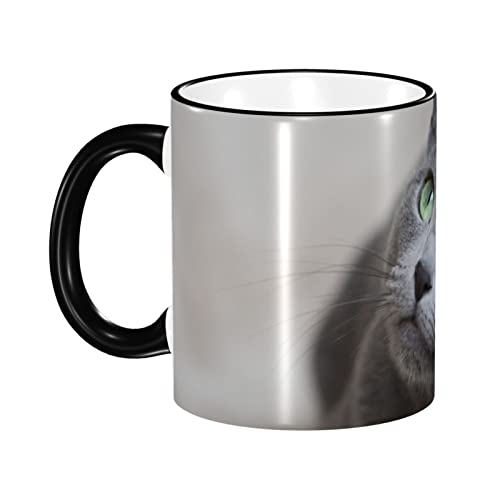 VAu[ L L DF Aj }OJbv ϔM ϗ dqWΉ e R[q[Jbv  y a lC v[g