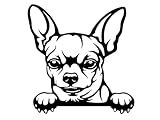 MAKTEM Peeking Chihuahua Sticker for Cars, Cute Dog Decals for Window Bumper Mirror Indoor Outdoor, Anime Vinyl Peel and Stick