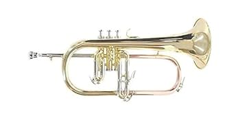 Amazon | PLAYTECH (プレイテック) フリューゲルホルン オート