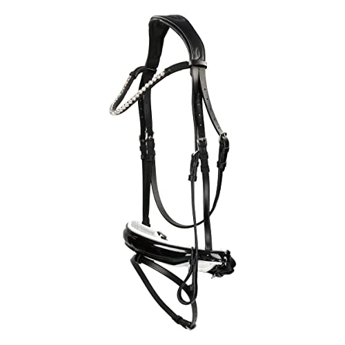 Bridon special Guy noir-blanc Cob pour l'entrainement quotidien