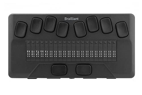 Brailliant BI 20X