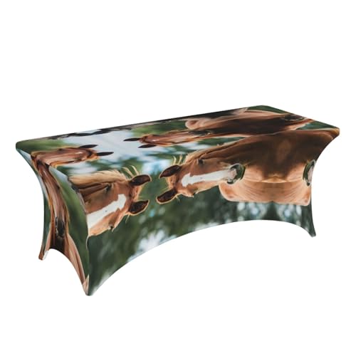Nappe de table extensible chevaux pour protéger et décorer vos banquets