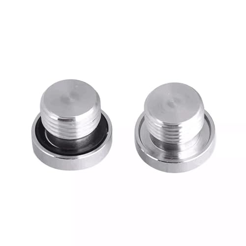 Tapón brida 316SS macho BSPP 1.5 de cabeza hexagonal con junta 2