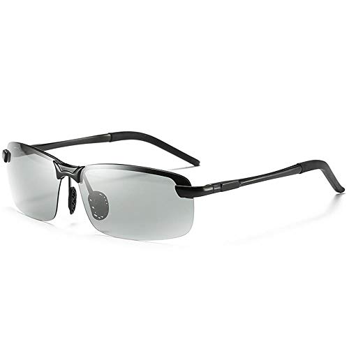 Best Sunglasses For Driving Day And Night 10Reviewz