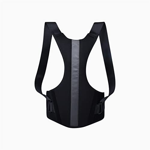Correction du dos pour posture assise prolongée en révision - 3