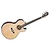 Washburn Festival Series 6 String Acoustic-Electric Guitar, Right, Natural (EA20SNB-O)