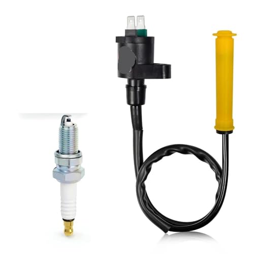Bobine d'allumage avec bougie pour XR650 L 1993-2016 et XR600 R
