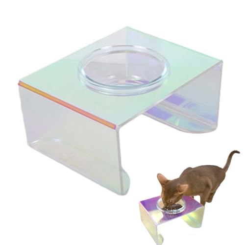 NESSICURE Ciotola rialzata per cani e gatti, doppia ciotola con supporto rialzato, dotata di 2 ciotole in vetro rimovibili, moderna Alimentatore in vetro acrilico (Supporto + 1 ciotola)