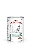 Royal Canin Nassfutter für Hunde mit Diabetes mellitus - 410g