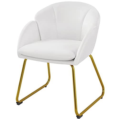 Abician Chaise de Salle à Manger en Velours Chaise Cuisine Fauteuil de Salon avec Pieds en Métal Doré Fauteuil d’appoint avec Accoudoirs pour Salle à...
