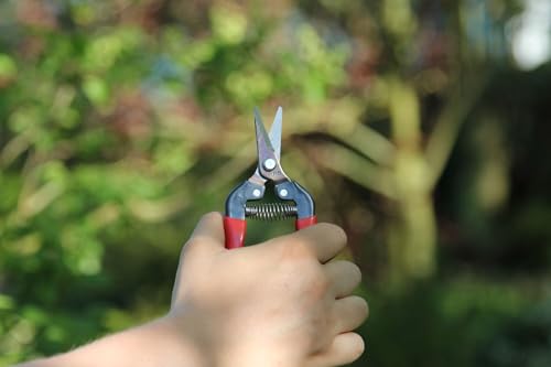 Tijeras para cosecha Ars Corporation Fruit Picking S miniatura 5