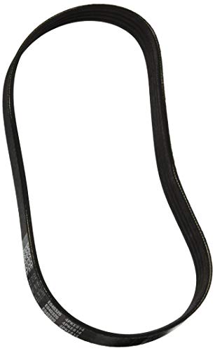 Correa serpentina Dayco E040320 POLY RIB ELA recambio de transmisión estriada para coche