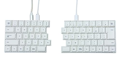 ライジュウ NISABI 日本語配列 分割式 メカニカルキーボード Amazon | ライジュウ NISABI V2 LAK キーキャップ 日本語配列 分割式