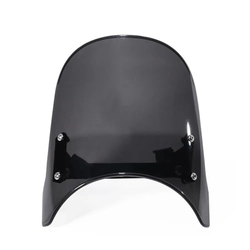 Pare-Brise Moto 450CLC Idéal pour Vos Longs Voyages et Balades Routine