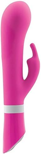 BWILD DELUXE VIBRADOR BUNNY ROSA INTENSO : Amazon.es