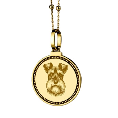 Pendentif singe pirate argent 925 plaqué or avec chaîne 45cm