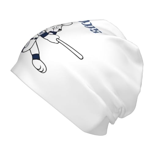 激レア　西武ライオンズ　NEW ERA ニット帽　ニューエラ　ビーニー 埼玉西武ライオンズ ニットキャップ ニット帽 激レア 西武ライオンズ