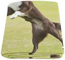 coperta riscaldata per il re del letto