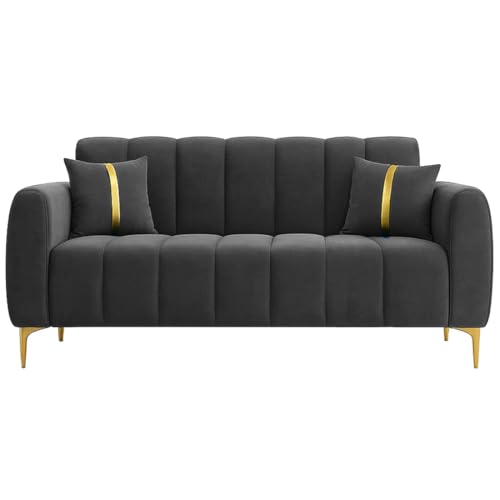 Image of Furny Harmon 2 Seater Fabric Sofa Set (Dark Grey) | Soft Velvet Fabric | Modern Design | Comfortable Seating | Living Room Furniture