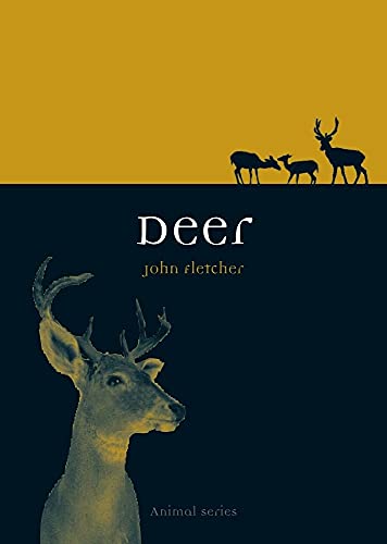 Deer view 2