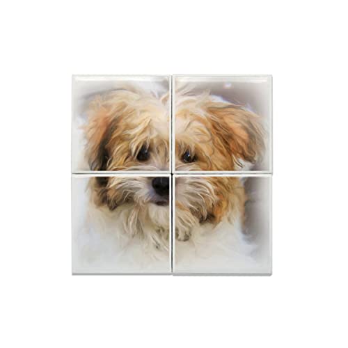 Carreaux céramique d'art caniche beige 40x40cm pour décoration haut de gamme
