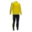 Yellow/Black