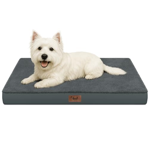 Image of Waterproof Orthopedic Dog Crate Bed for Small Dogs & Cats | Egg Crate Foam, Fits 24x18 Crates, TPU Waterproof Layer, Machine Washable 1680D Oxford Cover, Small Pets Up to 20 lbs