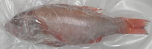 ؍Y@̂ǂ@Z~hX@6kg@C150-200@Ⓚ