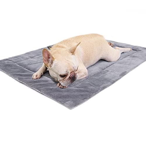 BT Bear Cama para perro, colchón lavable para perro, cómodo cojín para perro, tapete cálido para perro, tapete para cachorros, manta para perros y gatos (L, gris) Cover