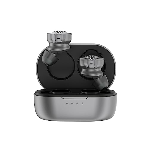 Image of FiiO FW3 True Wireless Earbud, Bluetooth 5.2 LDAC /aptX Adaptive, 10mm Drivers with Big Bass, App for Custom EQ, 21H Playtime (Grey)