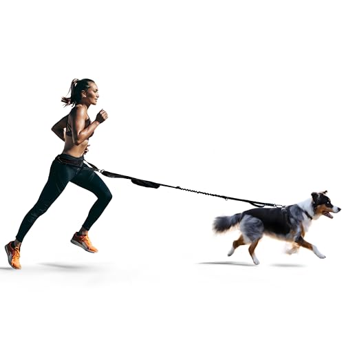 FITLY Dog Running Waist Belt - Running Dog Lead - Canicross Harne...
