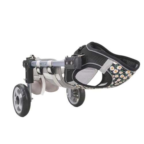 DhbdHsfs  Ԉ֎q  s⏕ pԈ֎q   qO[h̃A~jEŁASn悭AtȒPŁARɒłArArւɉe^܂A    U  R[M[ r[O sT|[g J[g(