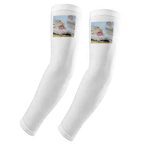 Manchons pour photographie d'animaux protection UV pour affût en pleine nature