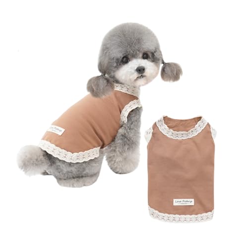 �� �� �N�[�� �Ђ��� �ĕ� �ڐG�⊴ �R�� �h�L ������ �^���N�g�b�v T�V���c �L�k�� �ʋC�� �z������ ���E�ȒP �y�� ���� ������� ���^�� ���U�� ���o���� �h�b�O�E�F�A �y�b�g�E�F�A COTEN (�u���E��, XL)