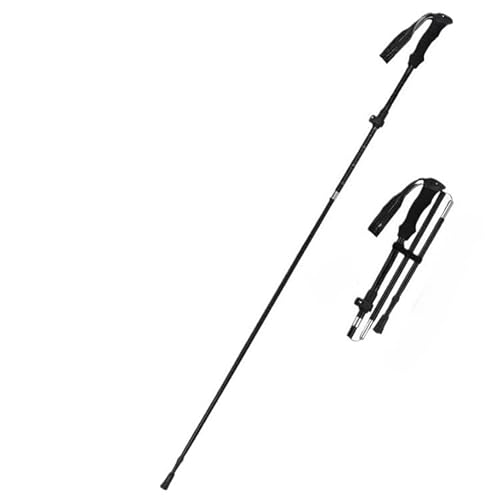 Tasydi gbLO|[ oR XgbN oR ܂肽ݎ y x ~ yʃA~ oRpXeBbN [P[Xtit jp k Lbv nCLO RpNg  (B)