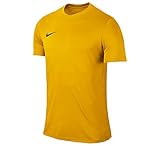 NIKE Herren Kurzarm Trikot Park VI