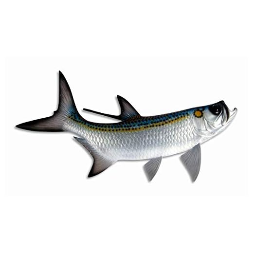 31CvrtcBjBL._SS520_ Best tarpon 100 angler