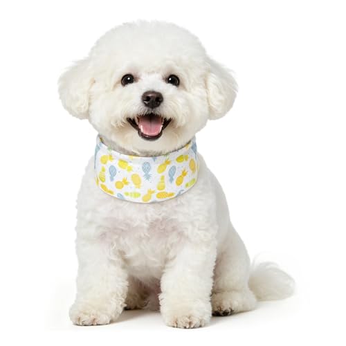 BEAUTYZOO 犬 クールネック ネッククーラー ひんやり 冷やす 涼感 涼しい 保冷剤付き 夏 熱中症対策 暑さ対策 日焼け防止 軽量 速乾 防水 保冷 通気性 散歩 お出かけ 屋外 人気 可愛い おしゃれ 小型犬 中型犬 大型犬 (パイナップル、M）（Amazon）