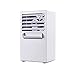 LOHOME Bladeless Fan - Desktop Air Conditioning Fan - Quiet Spray Humidifier Cooler Fan for Summer (White)